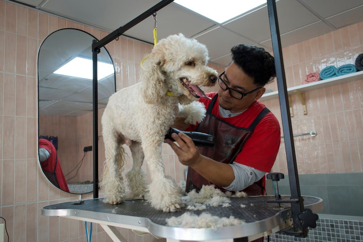 Six Pawz Pet Store & Grooming 3