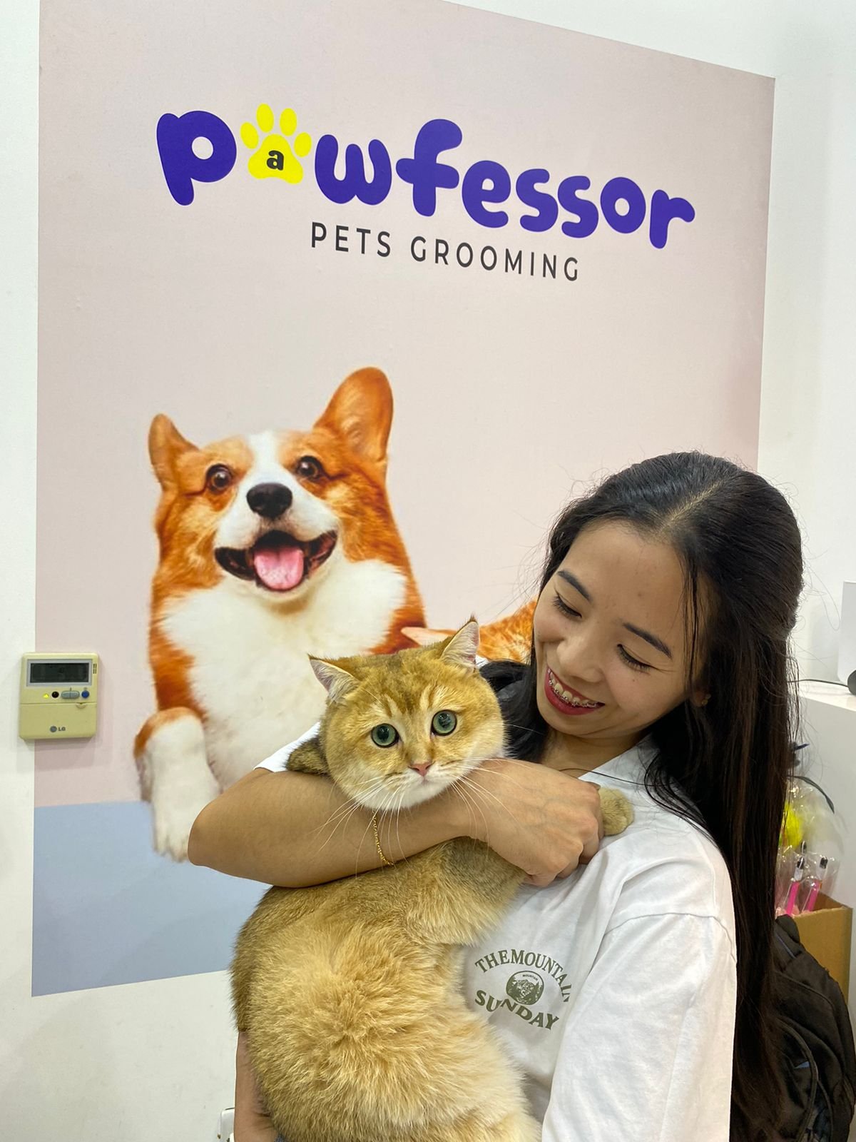 Pawfessor Pets Grooming
