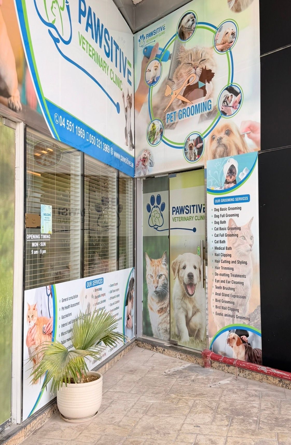 Pawsitive Veterinary Clinic - Motor City 3