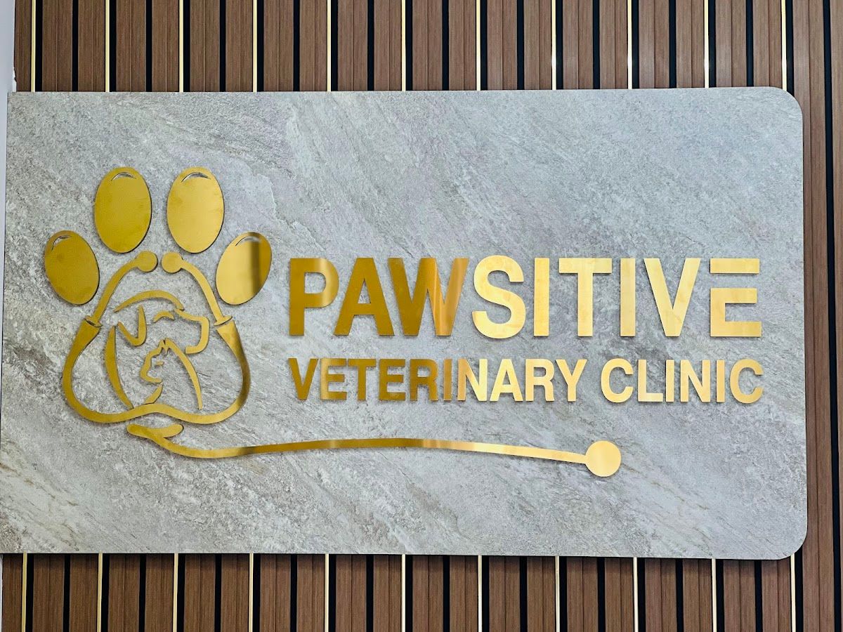 Pawsitive Veterinary Clinic - Motor City 5