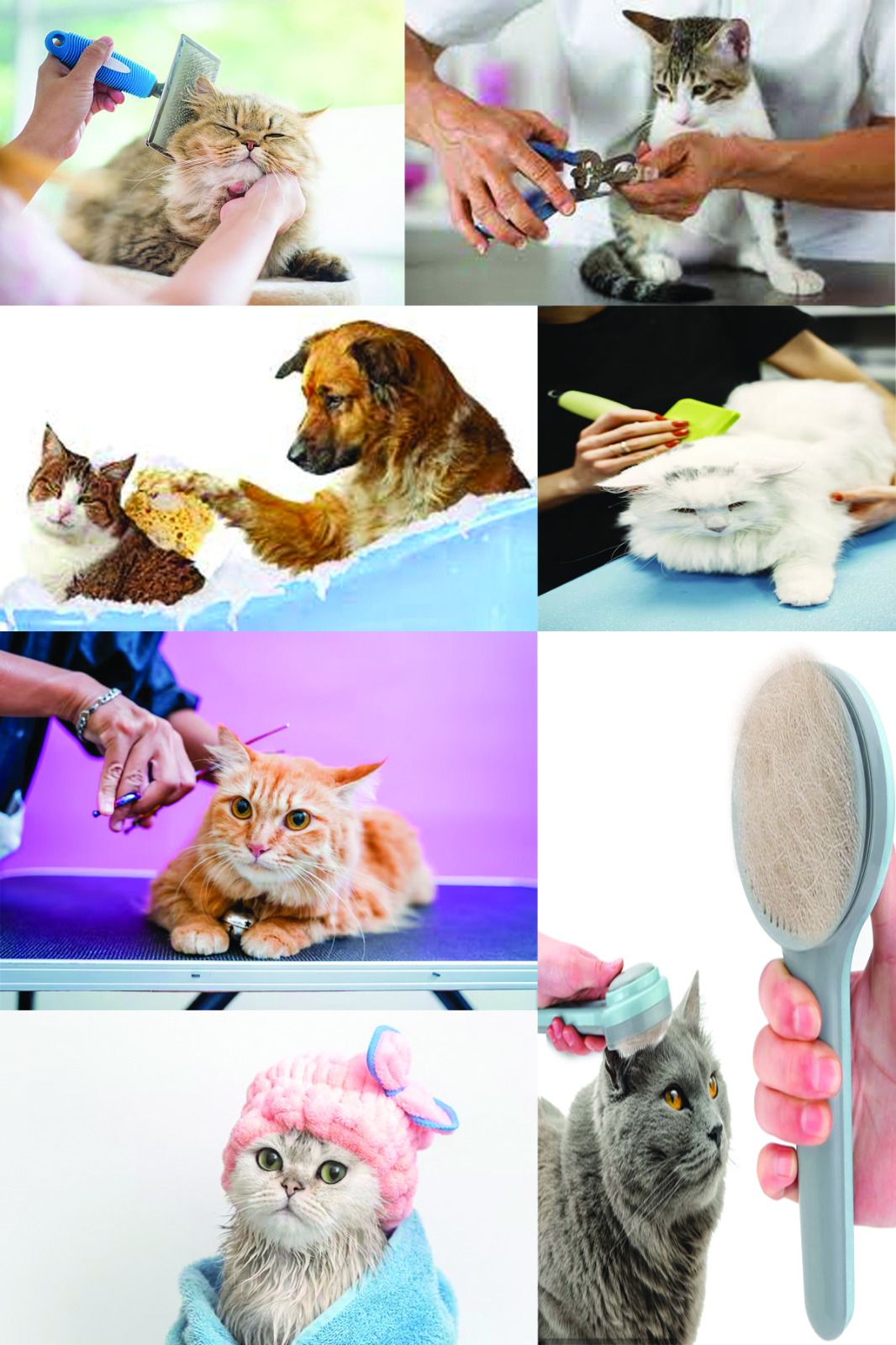 PET CARE HOME SERVICES 2