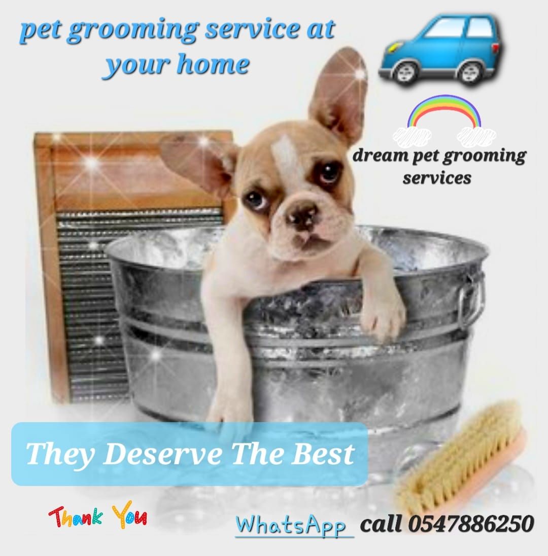 PET CARE HOME SERVICES 3