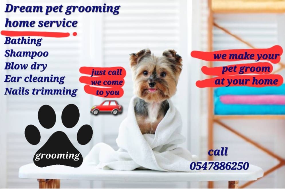 PET CARE HOME SERVICES 4