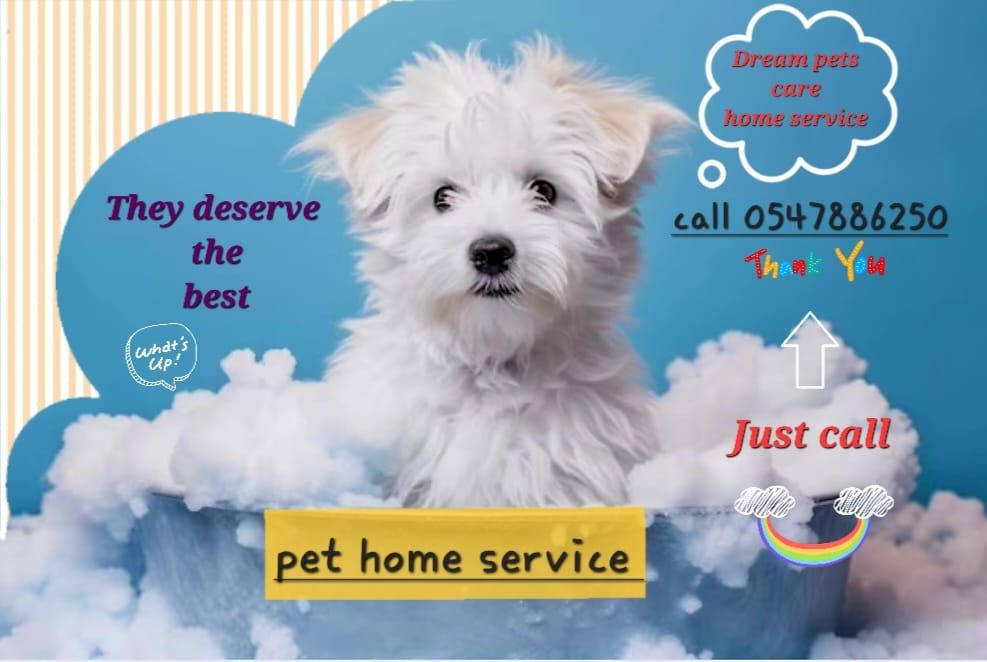 PET CARE HOME SERVICES 5