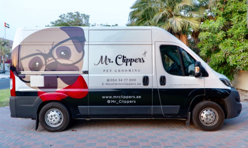 Mr Clippers Pet Grooming & Daycare 2