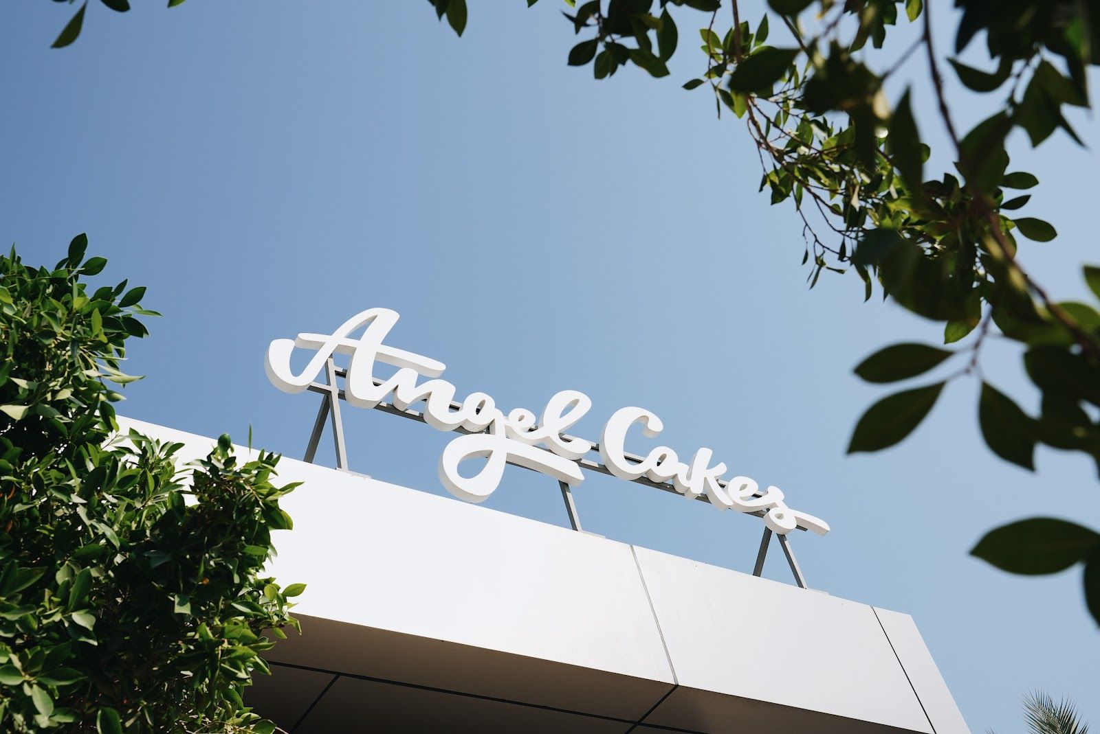 Angel Cakes Dubai Hills Park 4