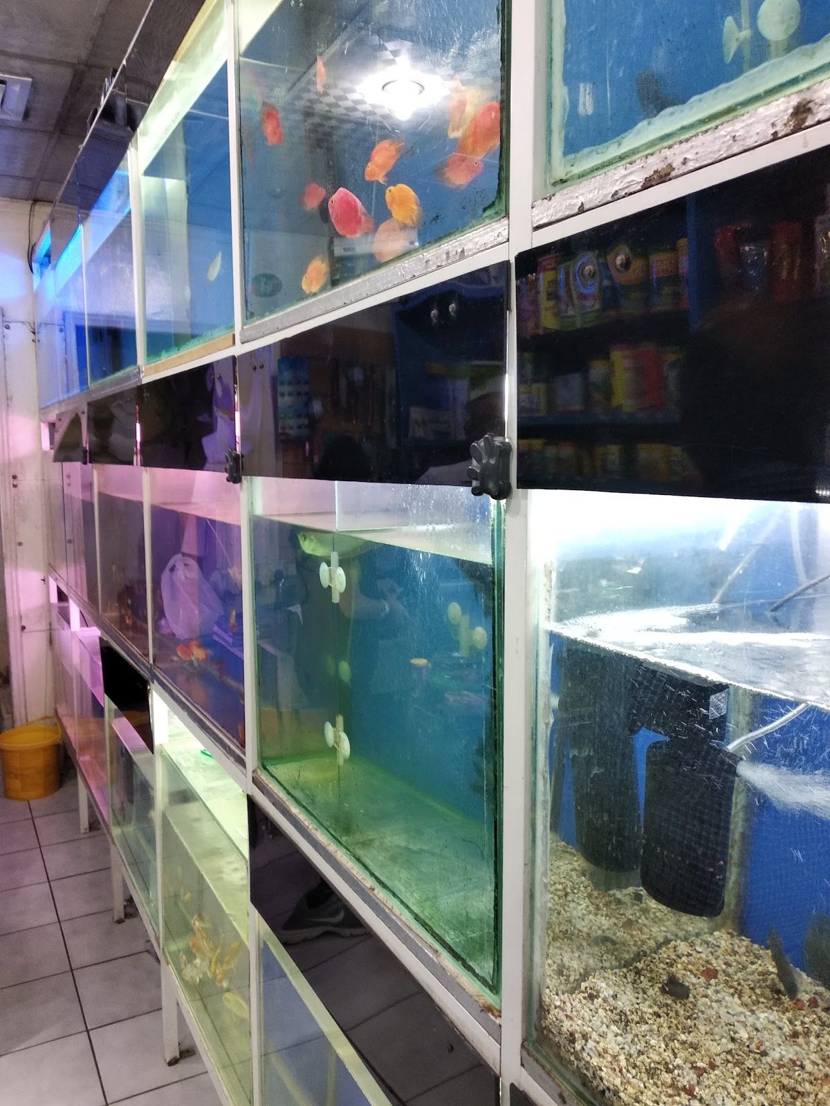 Fragrance Flowers & Aquarium Trading 2