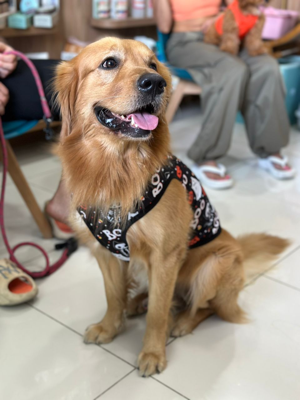 Prime Paws Veterinary Clinic LLC 5