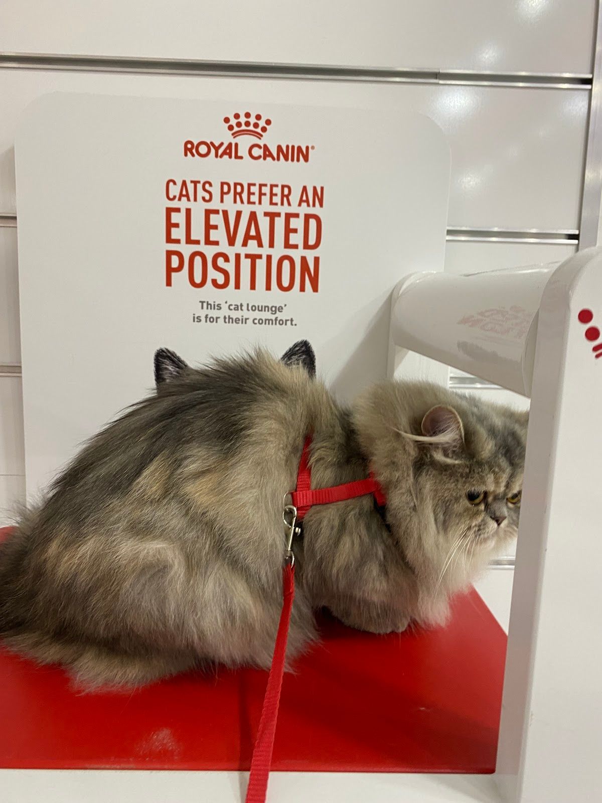 Fit Life Veterinary Clinic 5