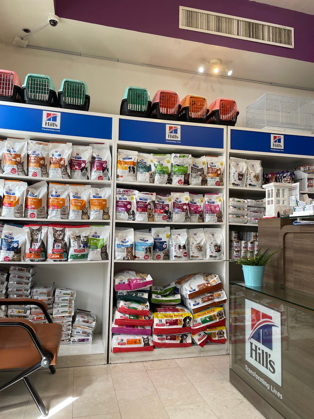 Australian Veterinary Clinic 4