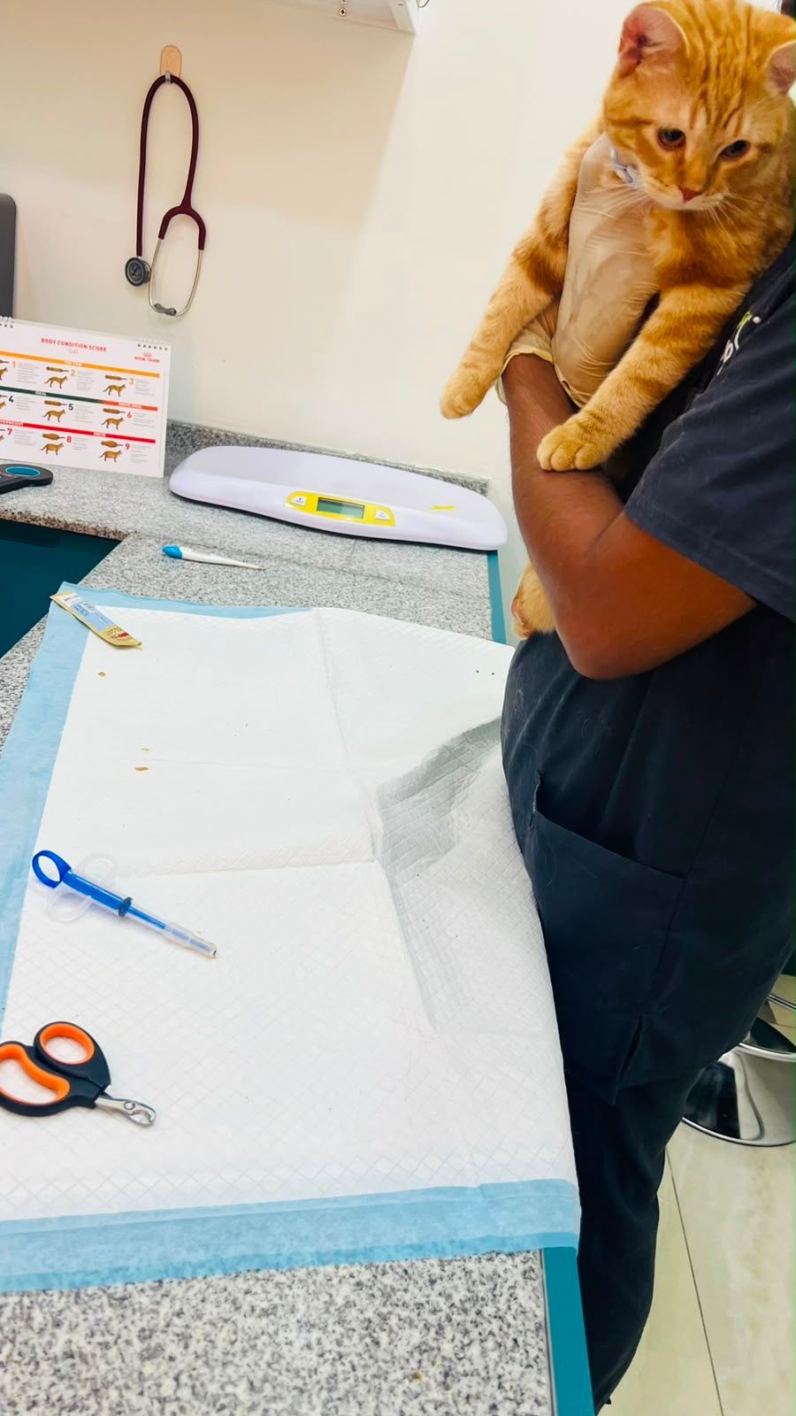 Vet Uno Veterinary Clinic 3