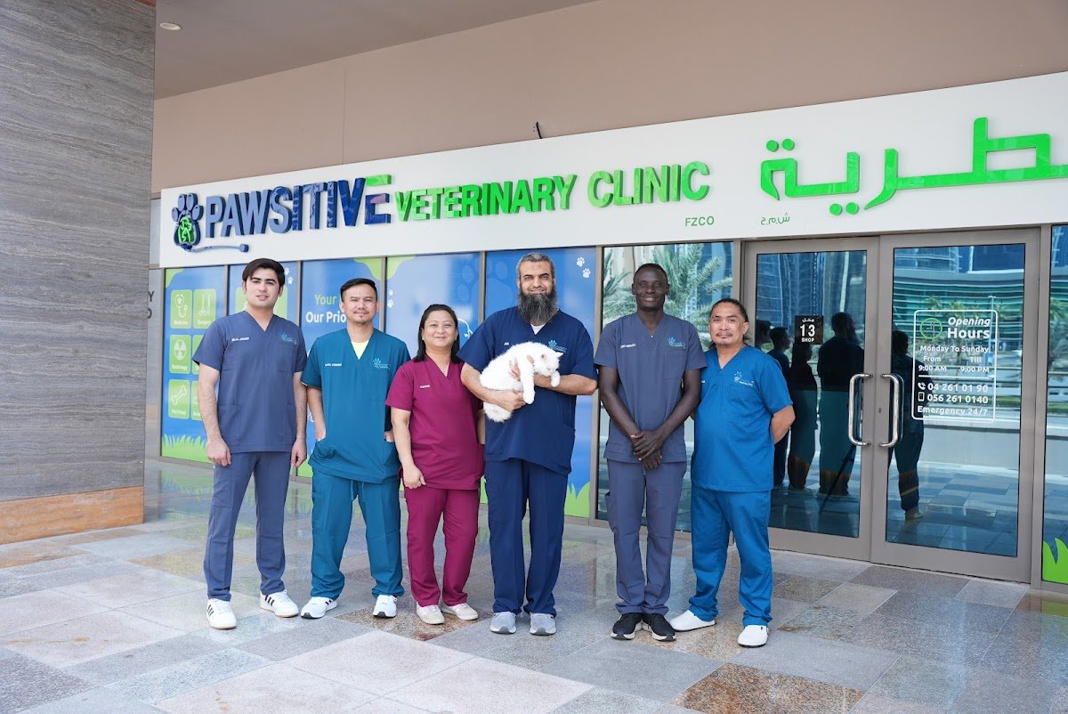 Pawsitive Veterinary Clinic - JLT
