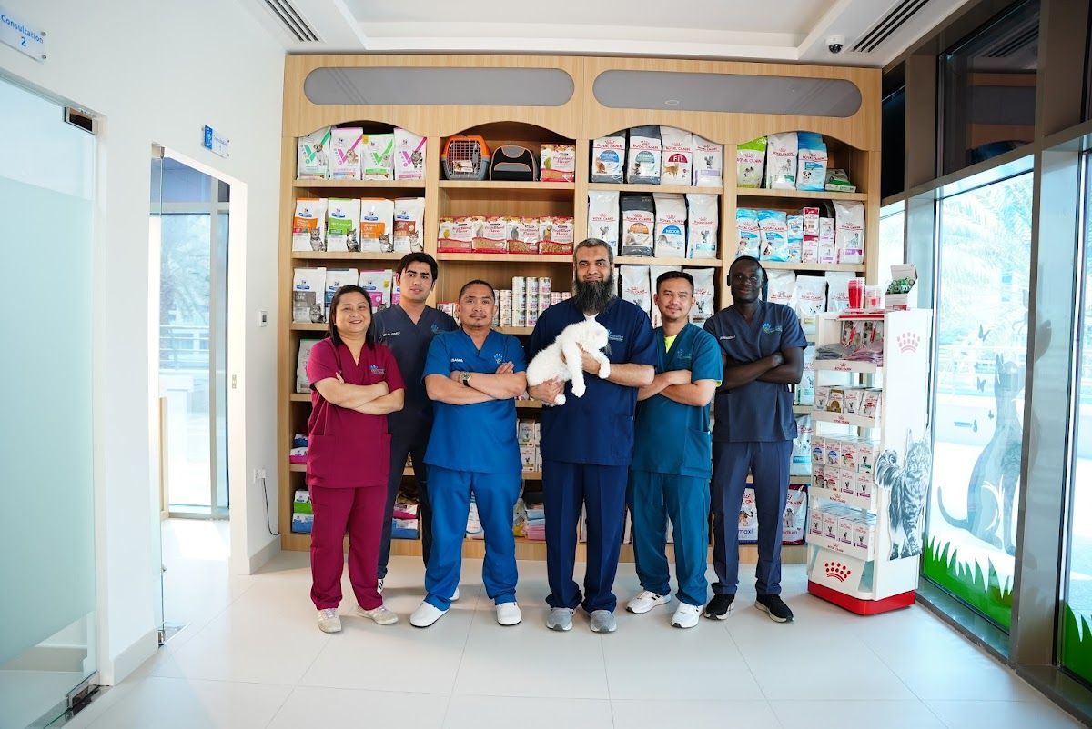 Pawsitive Veterinary Clinic - JLT 2