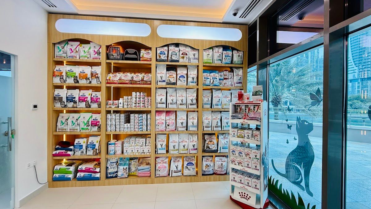 Pawsitive Veterinary Clinic - JLT 4