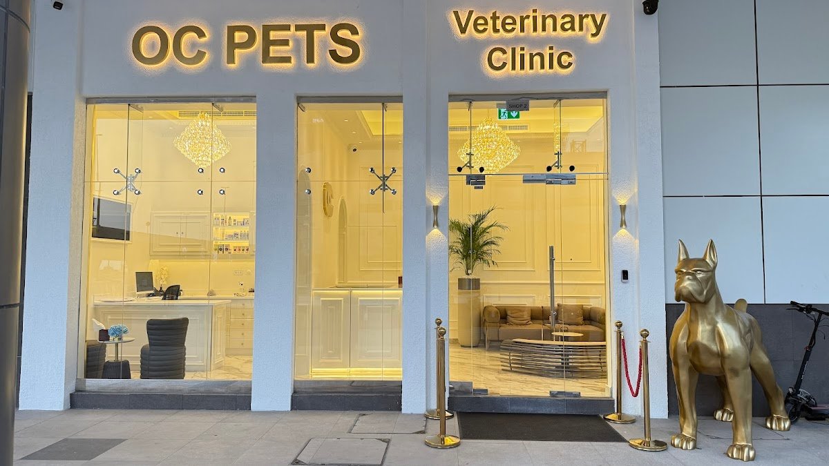 OC Pets Veterinary Clinic