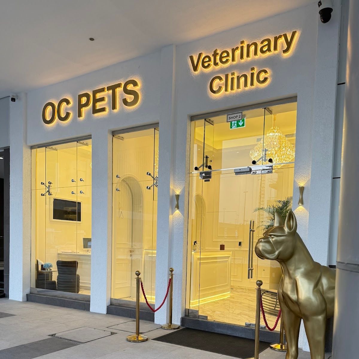 OC Pets Veterinary Clinic 2