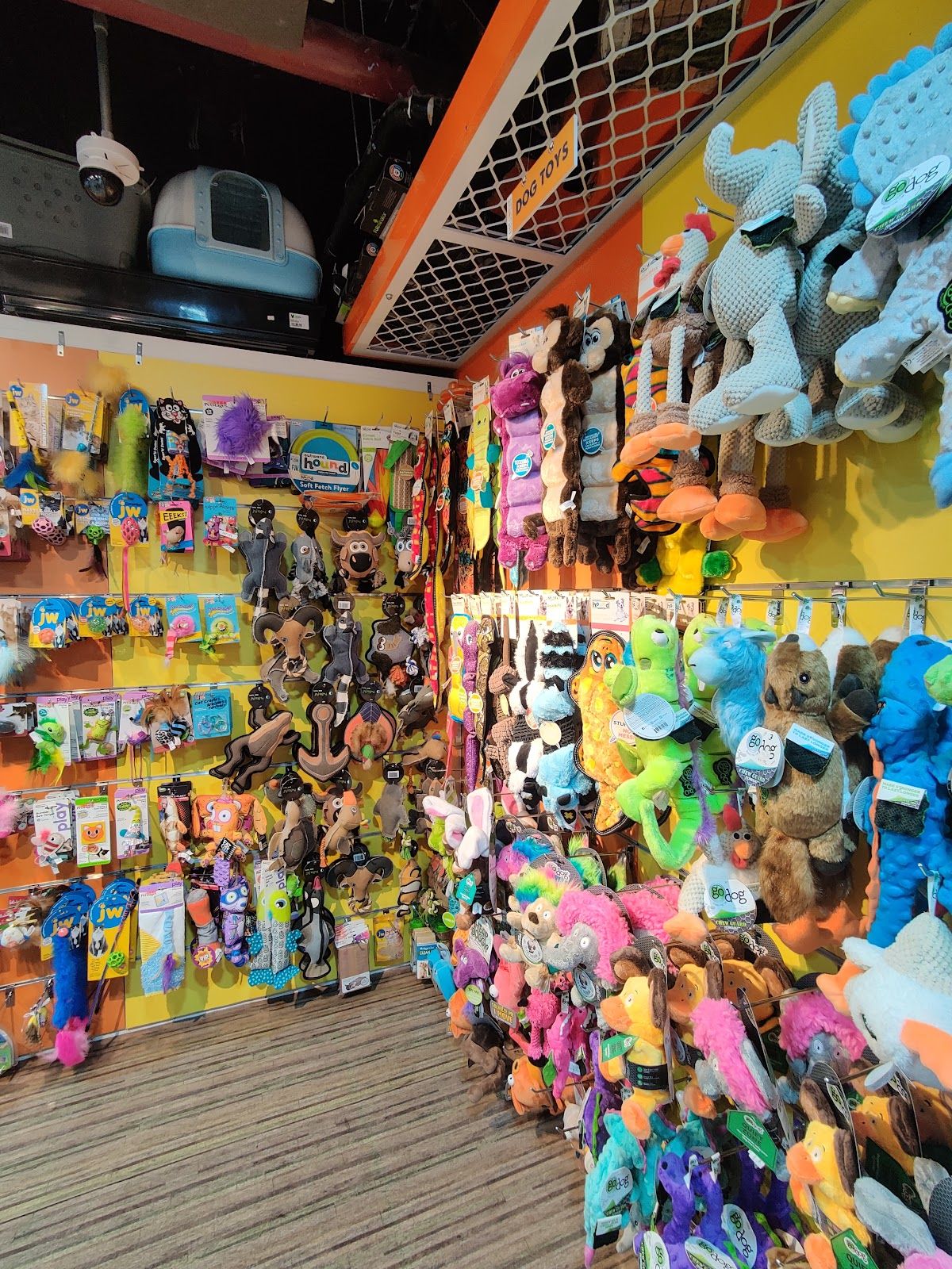 Pet Corner - Nad Al Hamar Pet Shop 3
