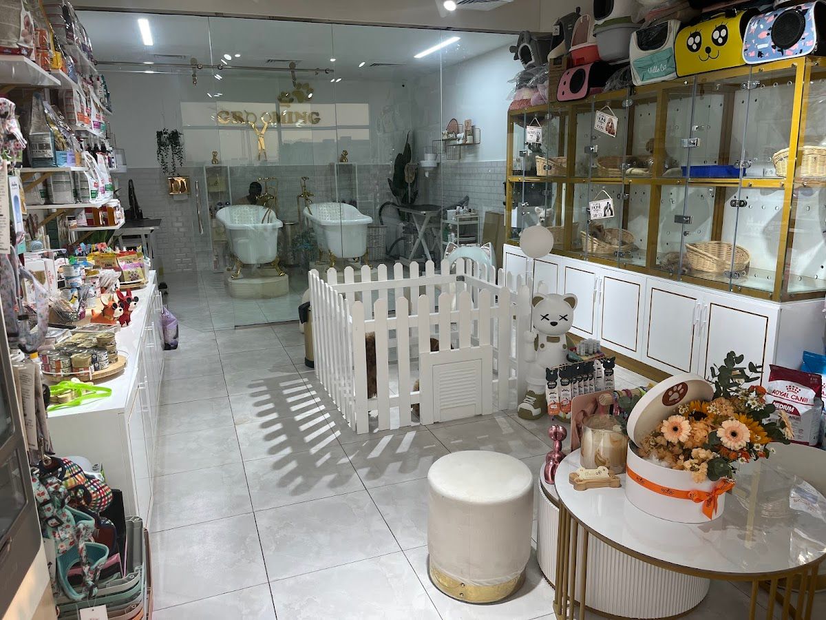 Luxury Paw ( Pet Shop, Pet Grooming, Pet Boarding, Pet Food & Accessories ) 2