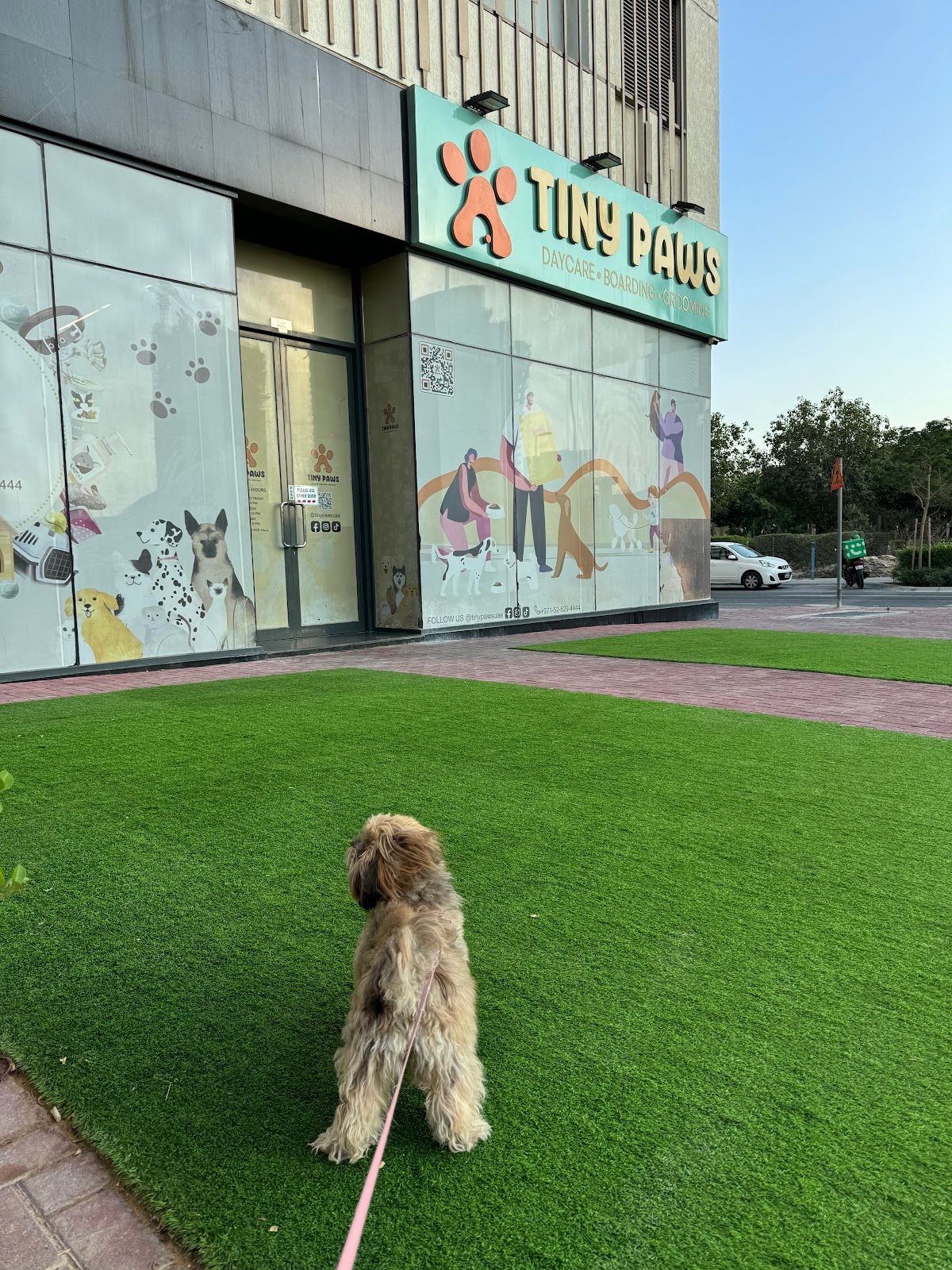 Tiny Paws UAE 4