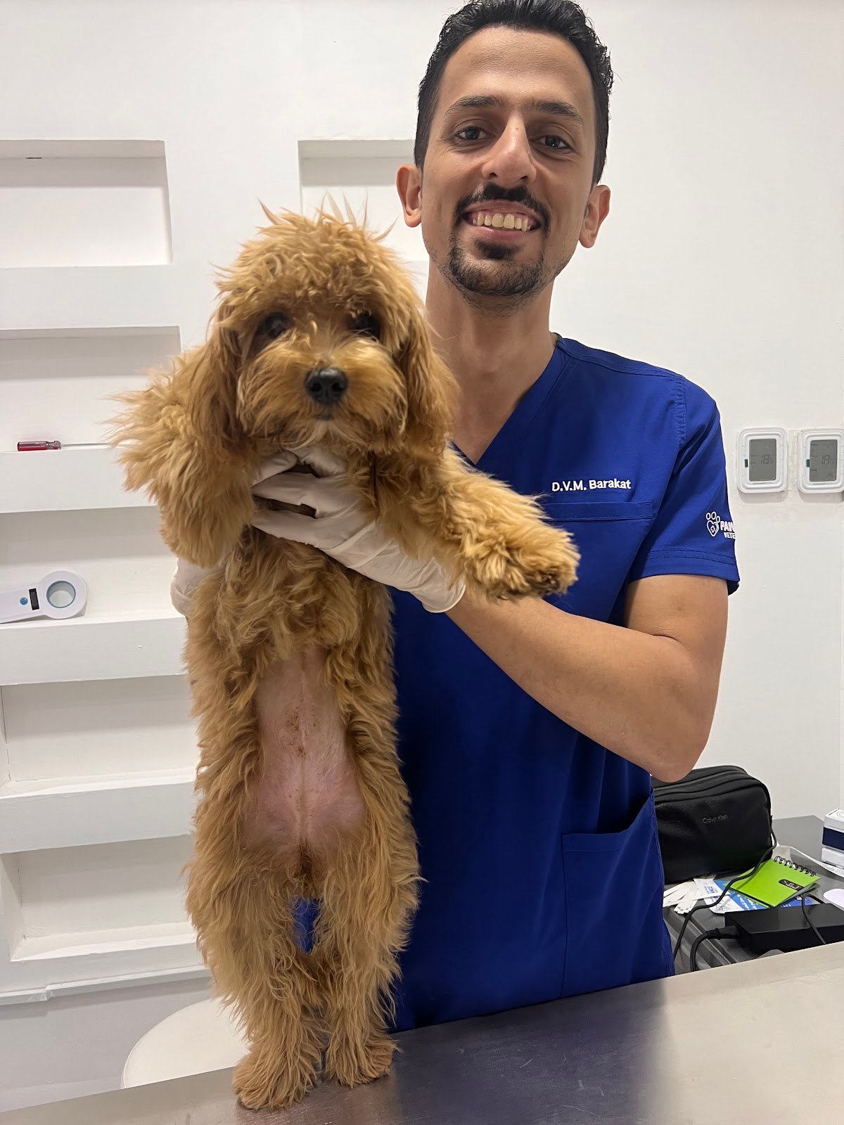 Pawbulance Veterinary Clinic