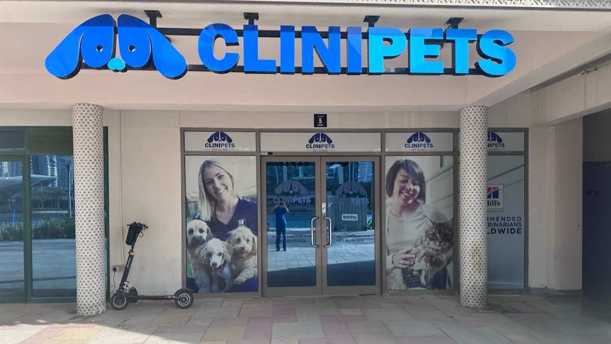 Clinipets Vet Clinic DMCC