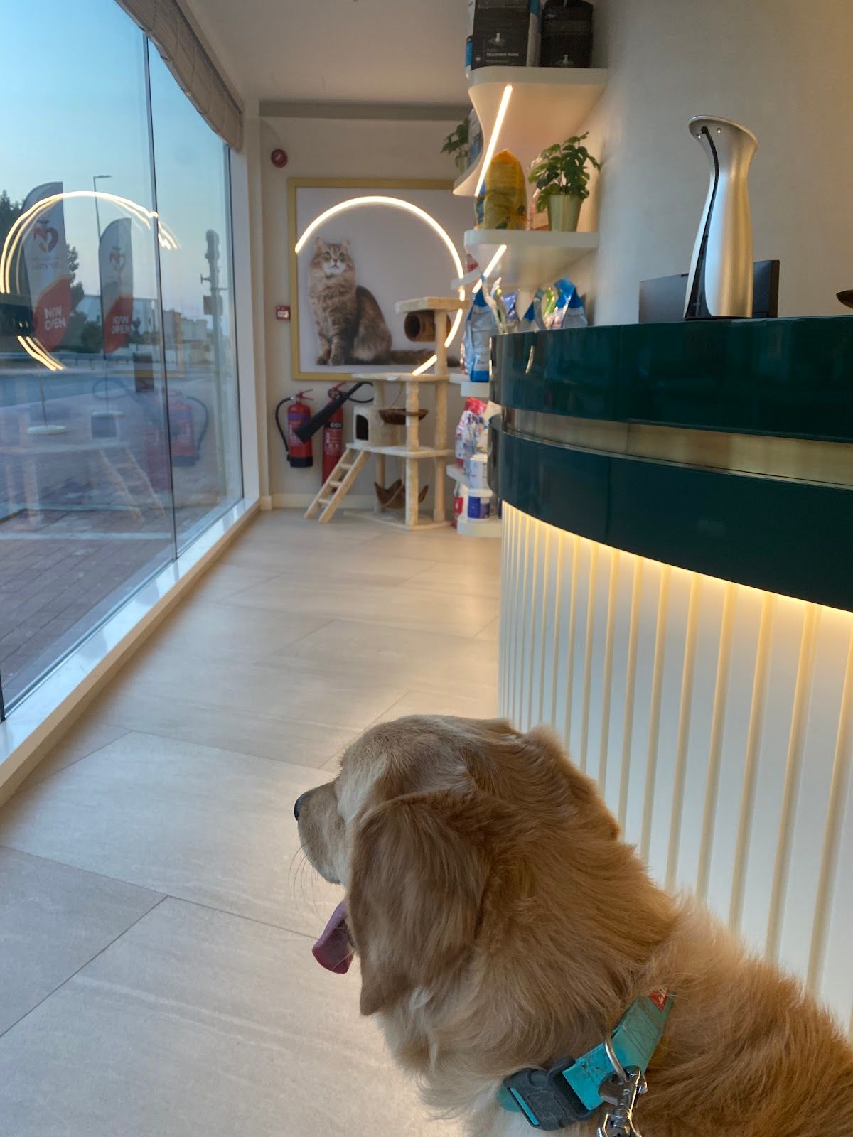 The City Vet Clinic - Mirdif Branch 3