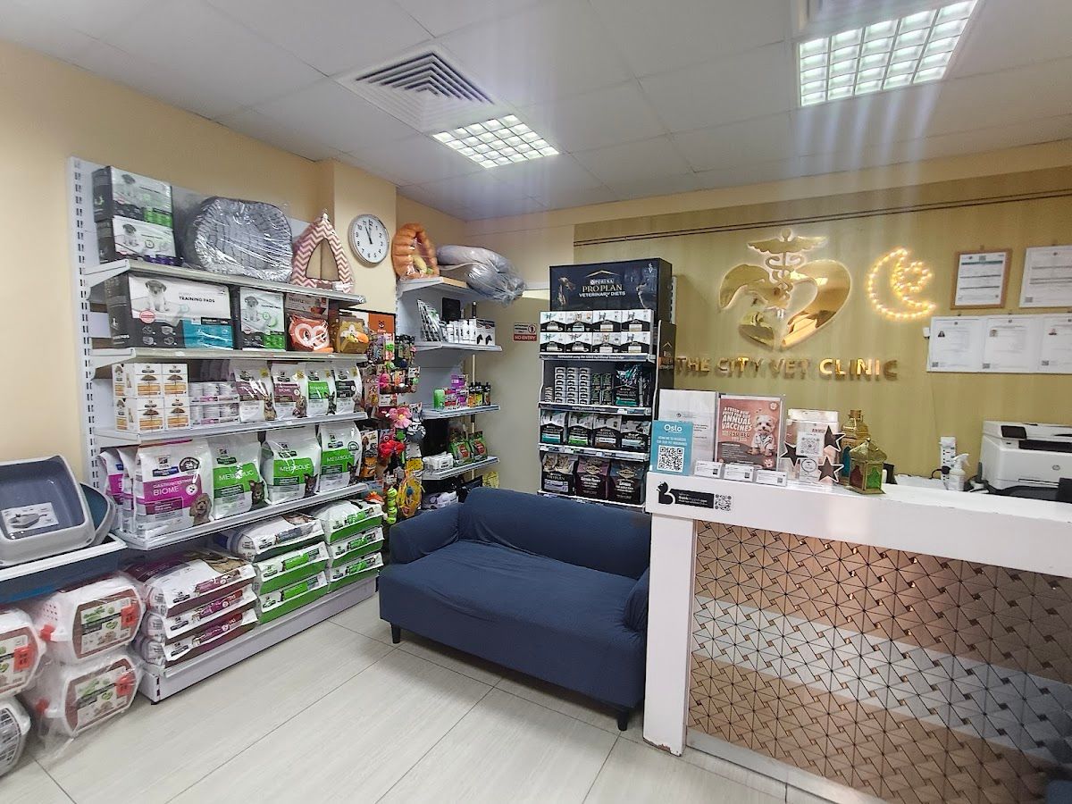 The City Vet Clinic - Mirdif Branch 4