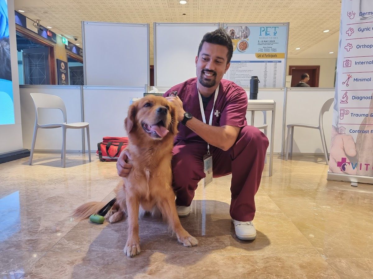Vets in the City Veterinary Clinic 2
