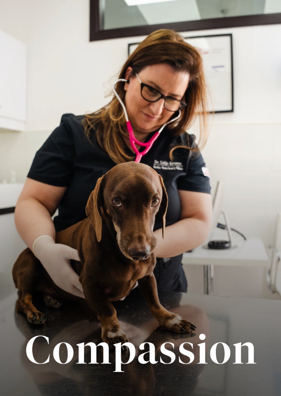 Noble Veterinary Clinic JLT