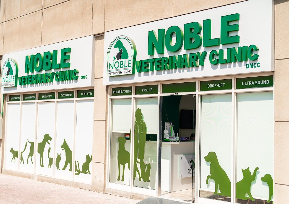 Noble Veterinary Clinic JLT 2