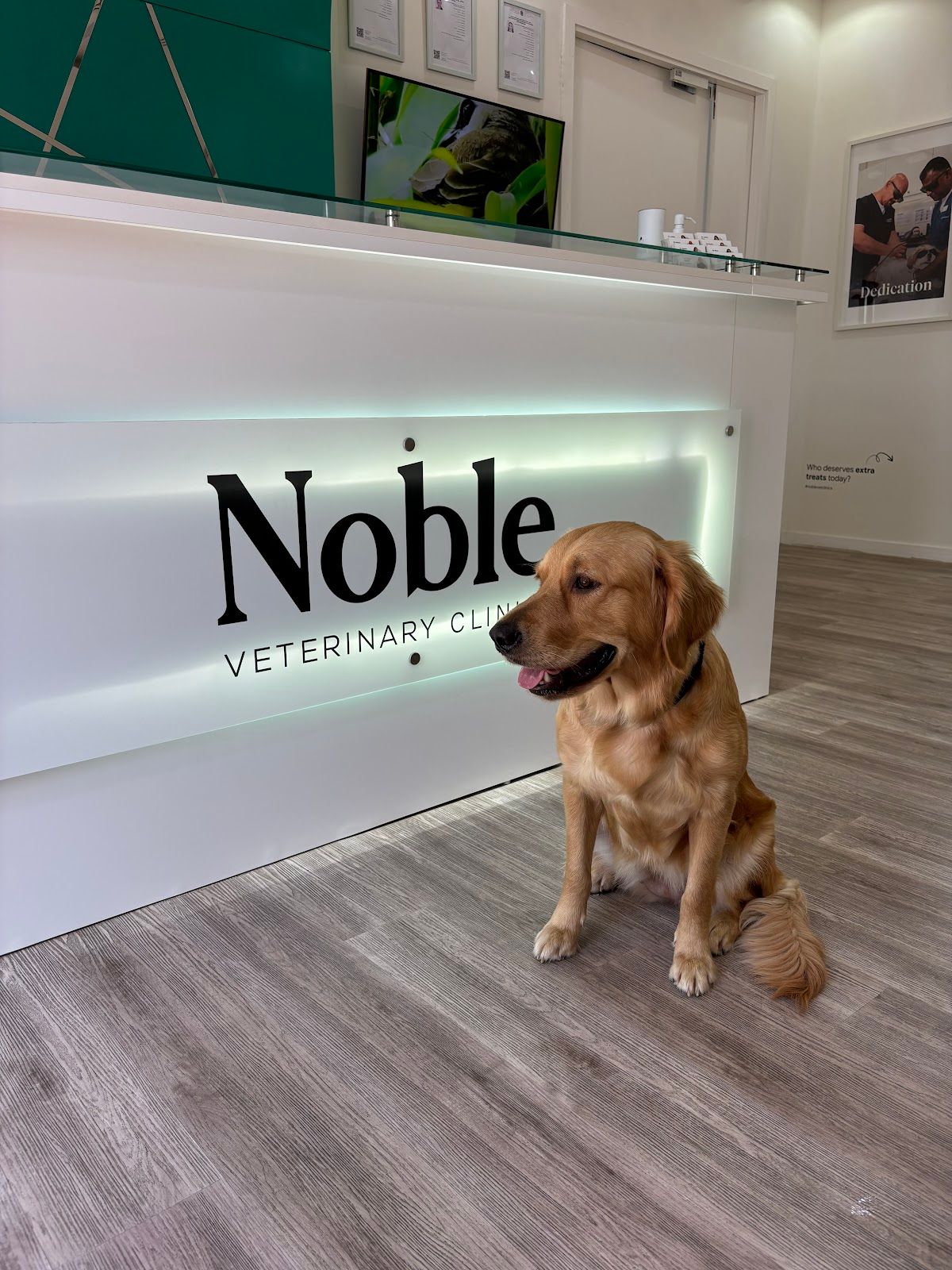 Noble Veterinary Clinic JLT 5