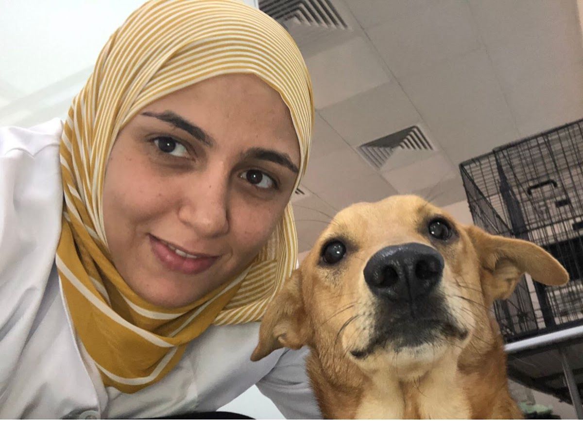 Pet Joy Veterinary Clinic 4