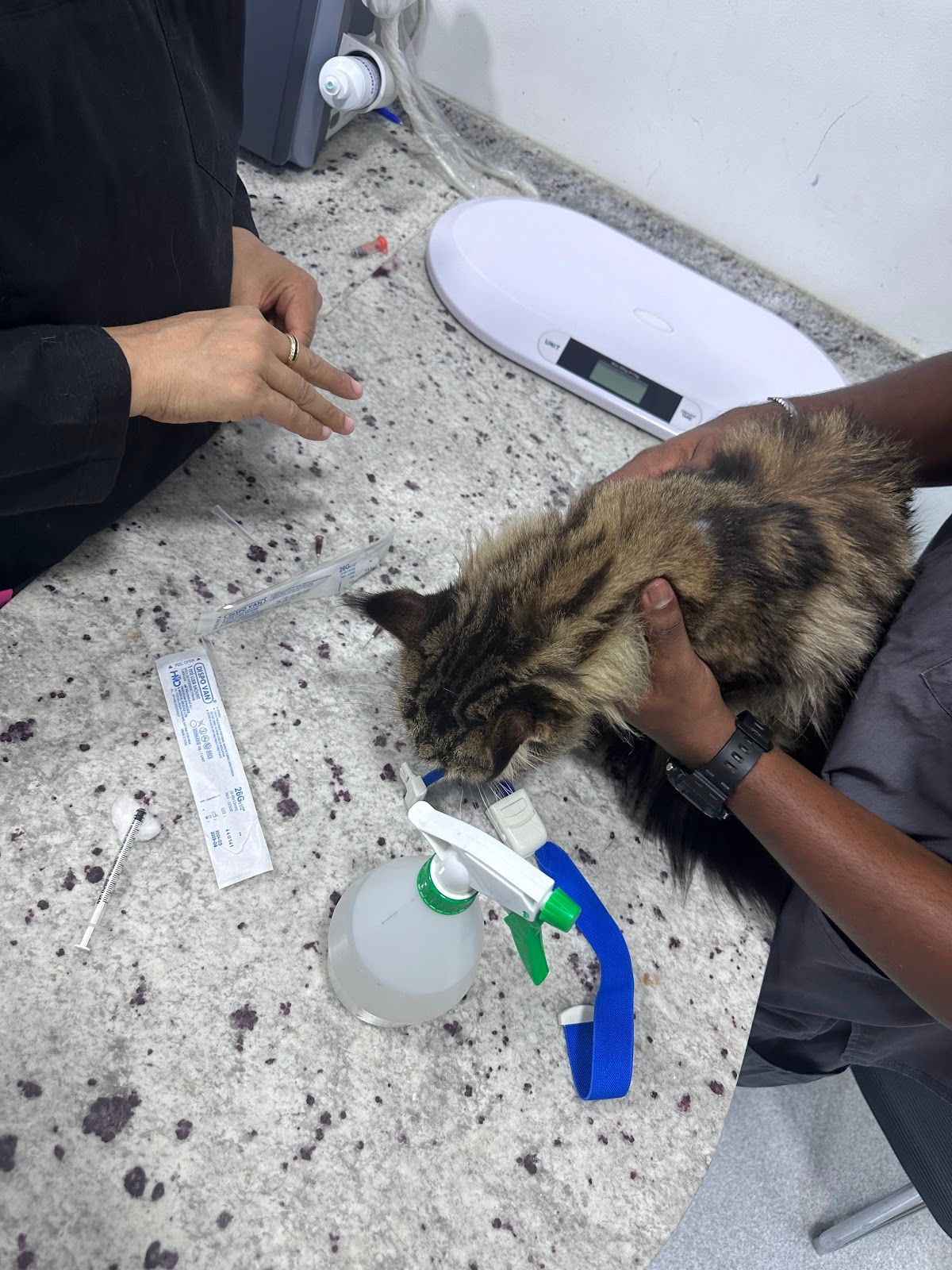 Pet Joy Veterinary Clinic 5