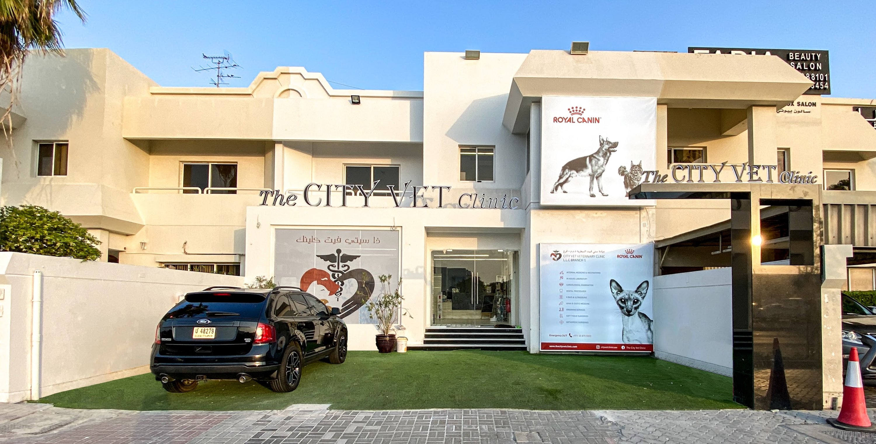 The City Vet Clinic - Al Wasl Branch