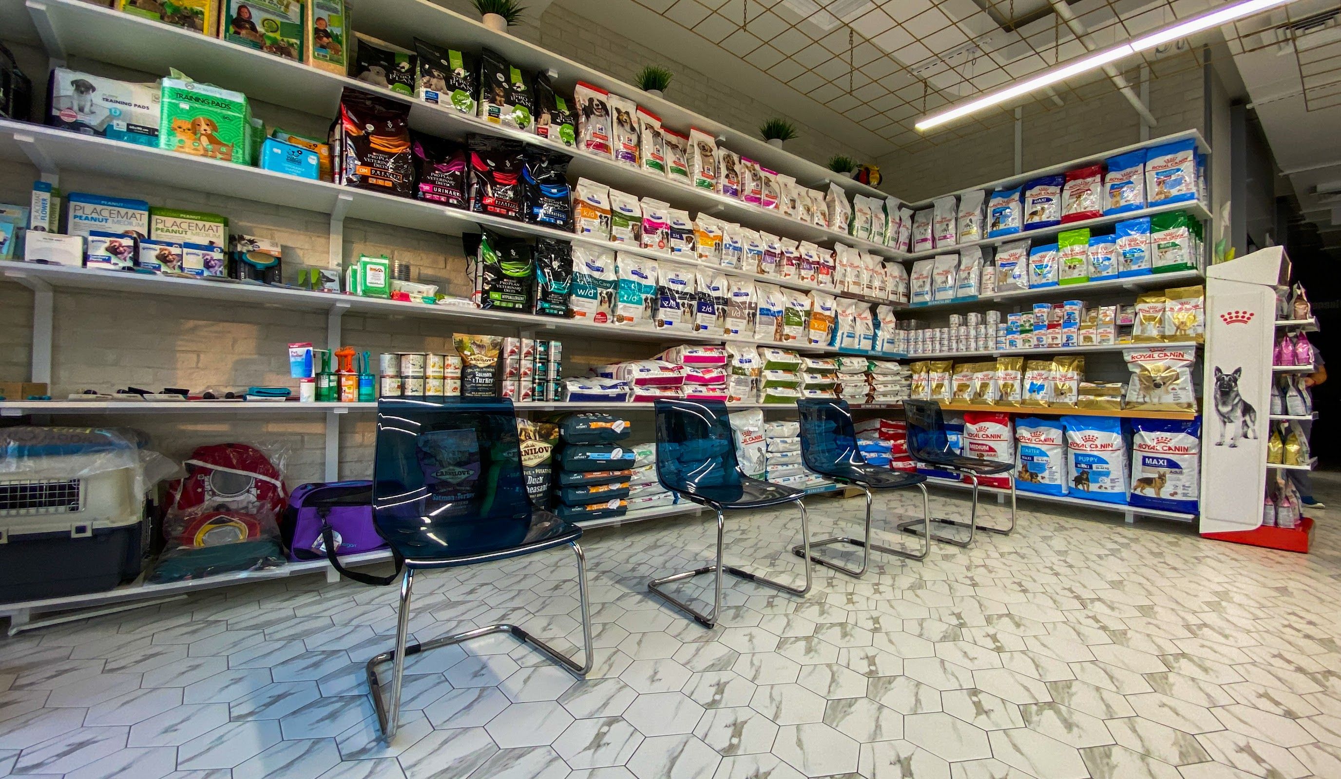 The City Vet Clinic - Al Wasl Branch 3