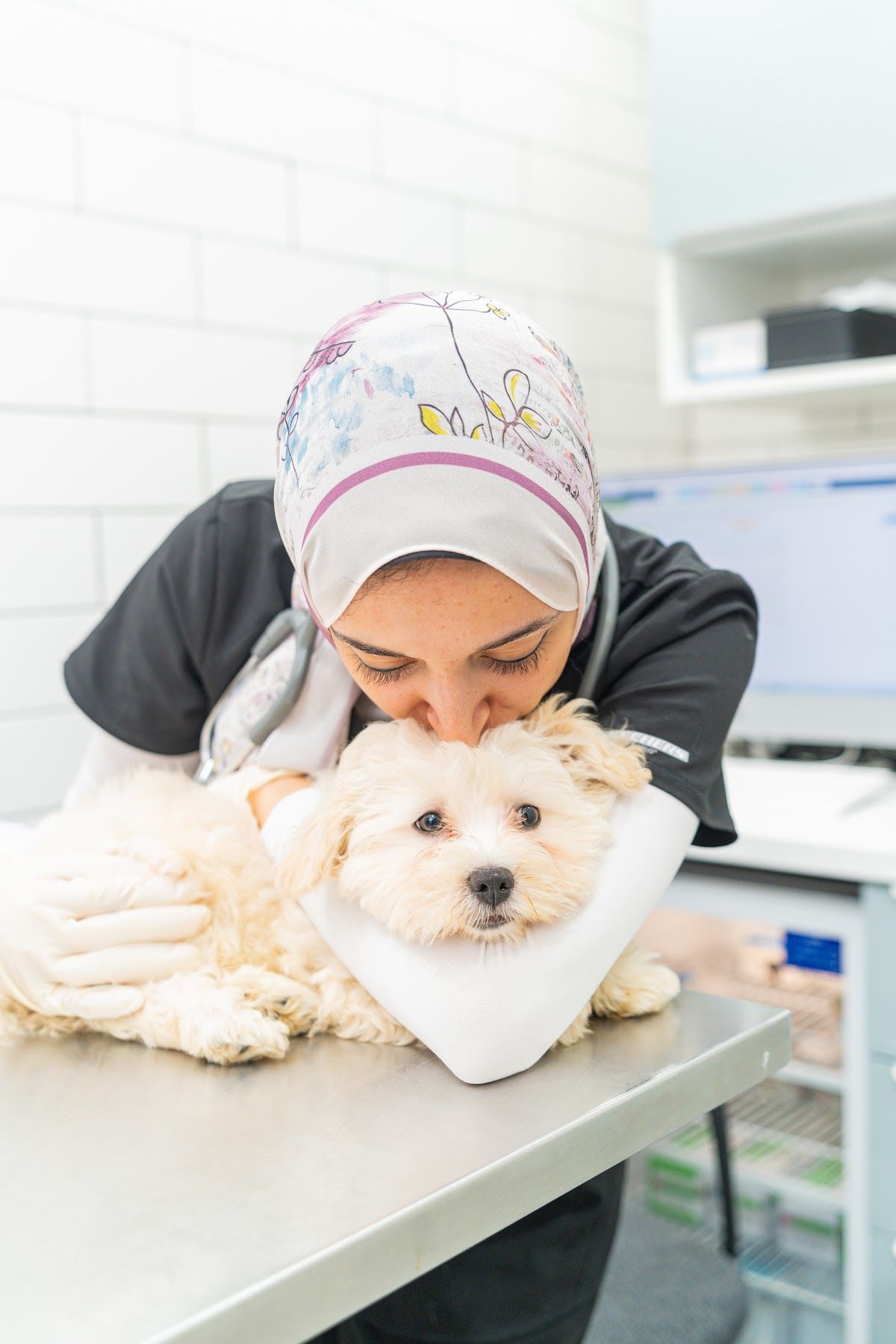 Snap Veterinary Clinic 3