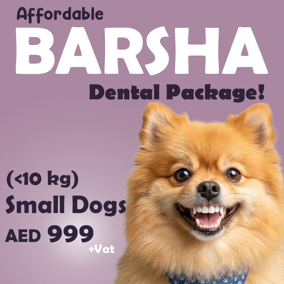 Vet Clinic Dubai - Town Square Nshama 2