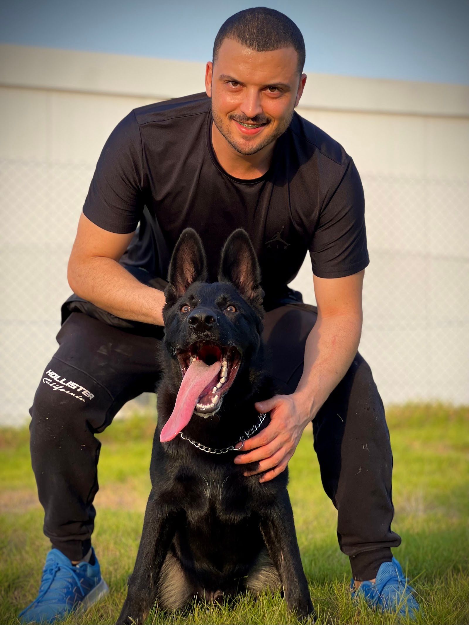 Dogs training pro 2