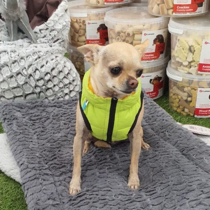 Petworld UAE Discovery Gardens 5