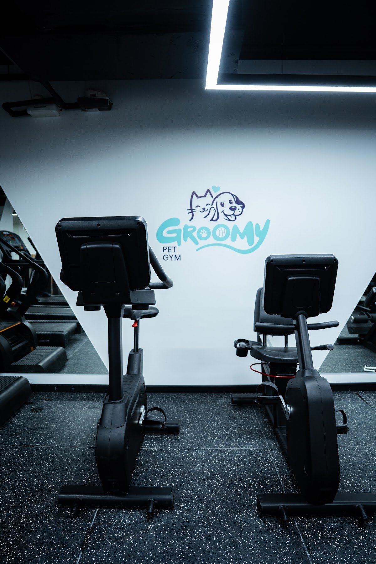 Groomy Pet Care