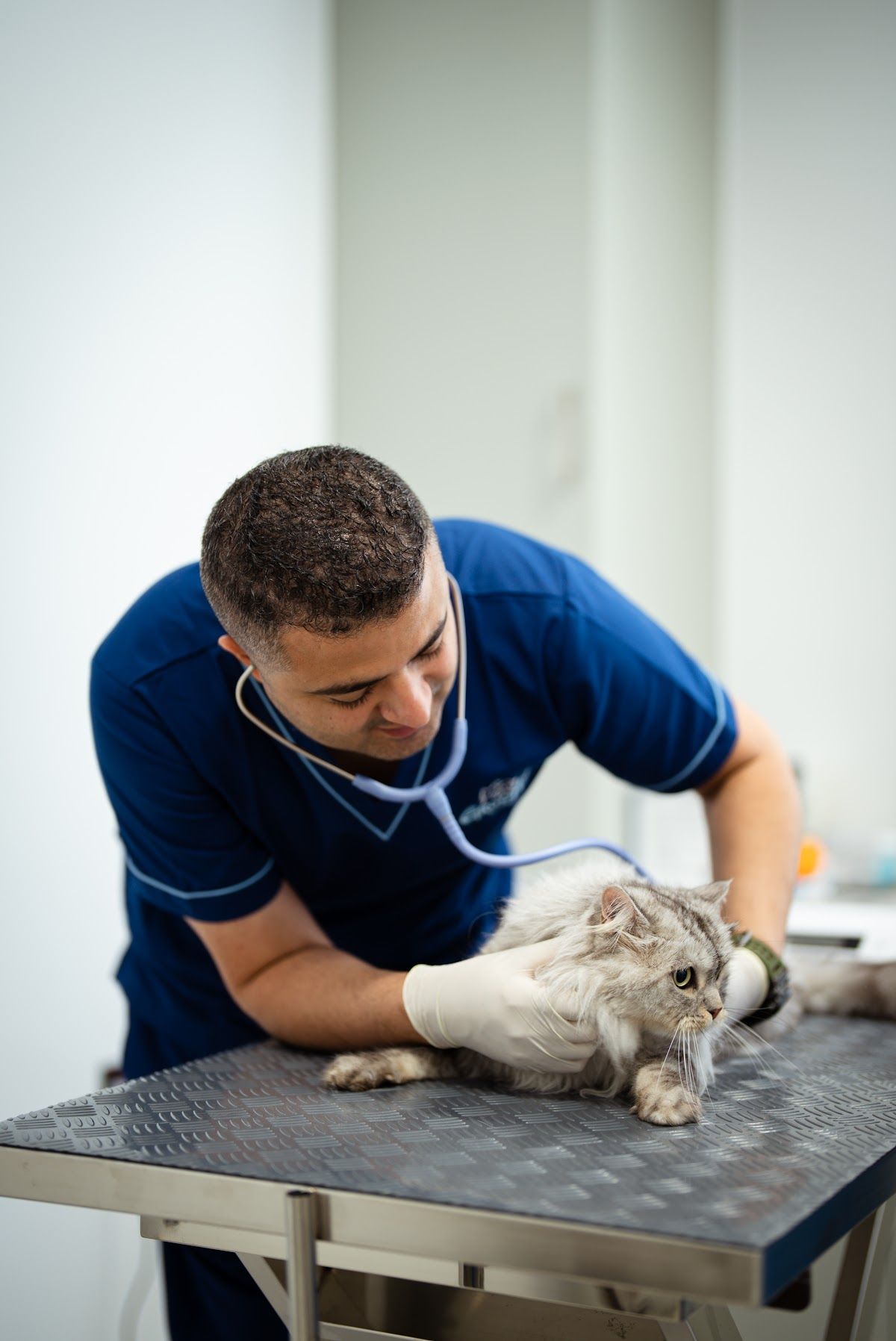 Groomy Pet Care 4