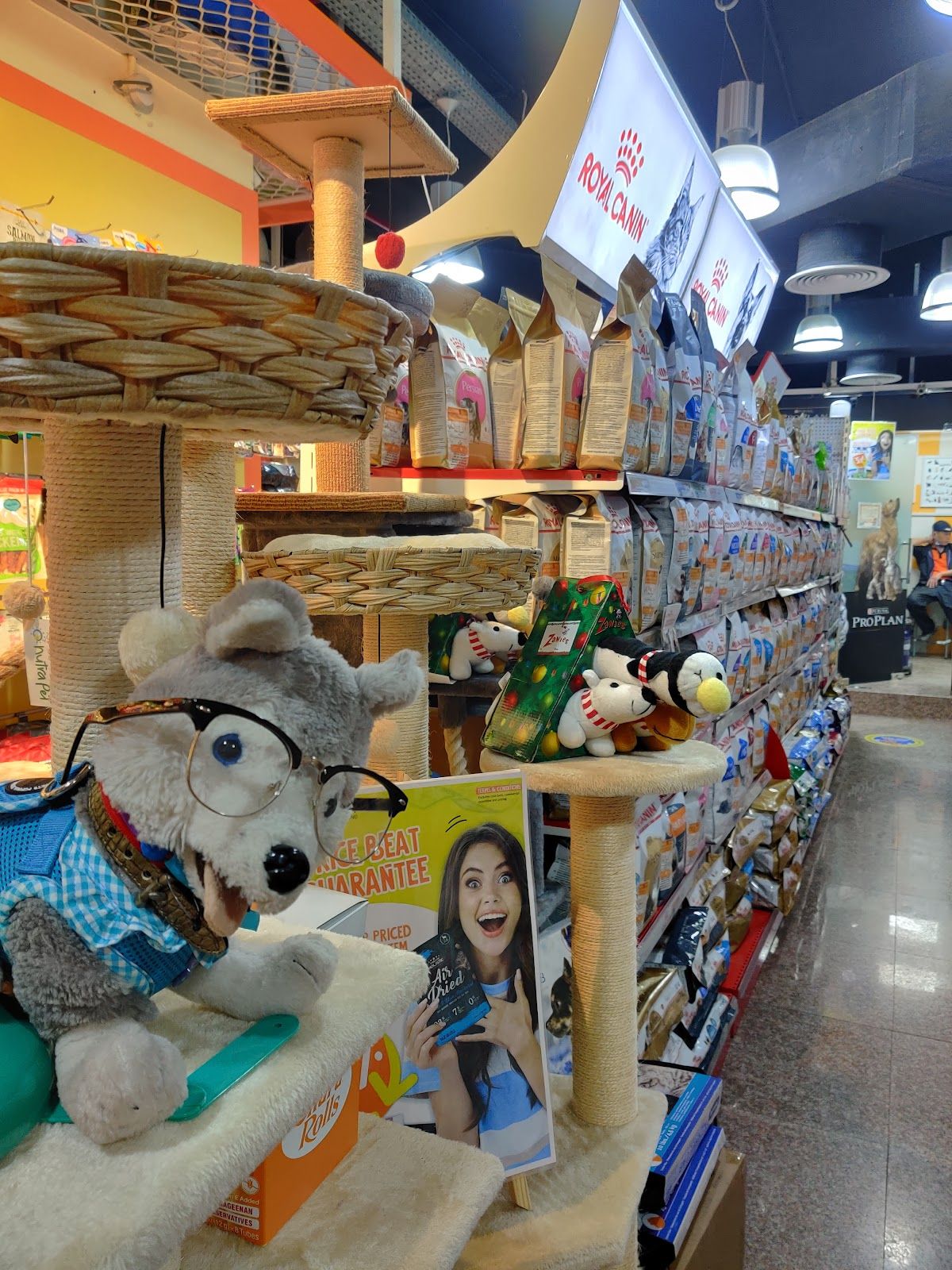 Pet Corner Motor City Pet Shop 2