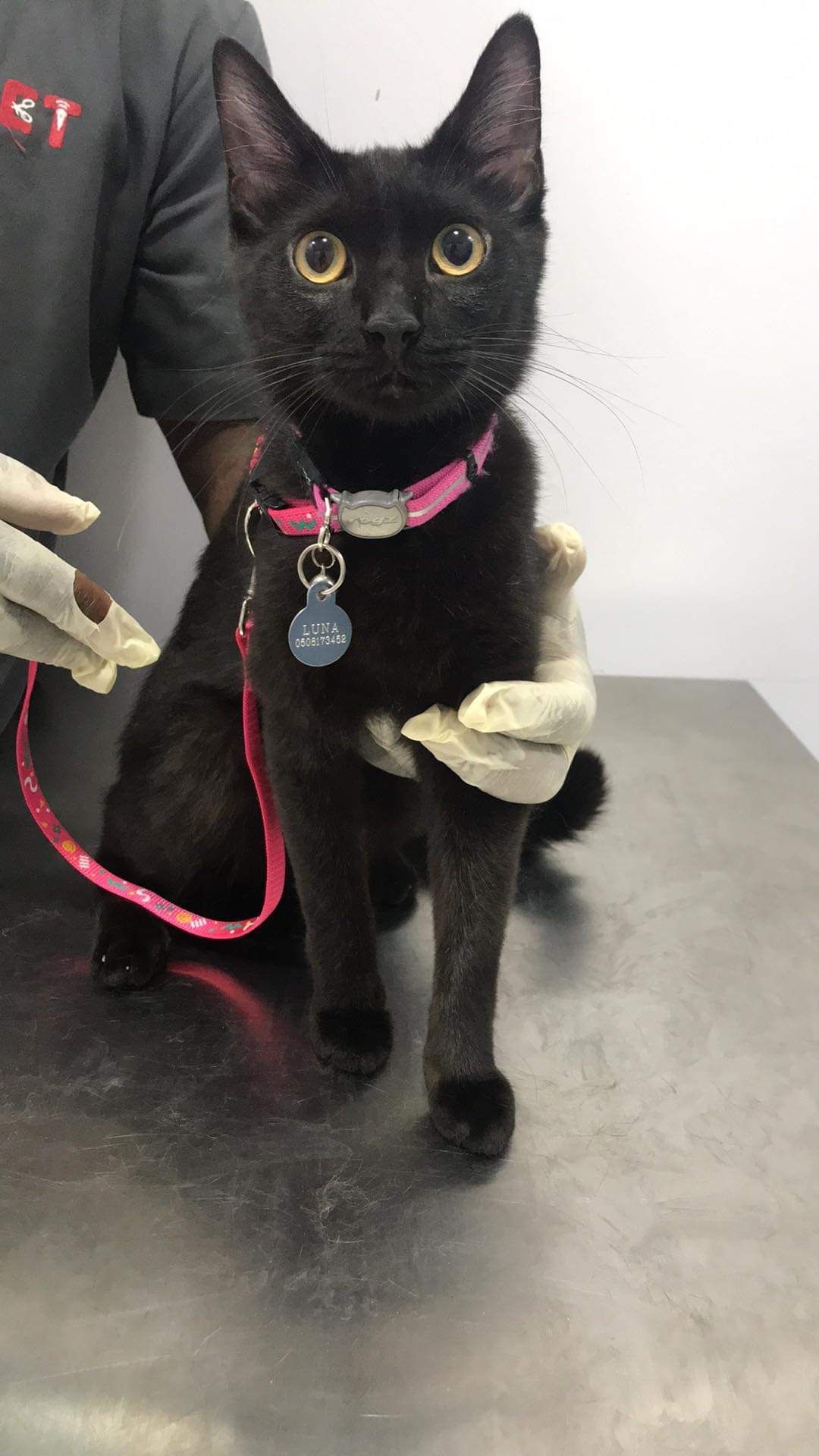 Vet Clinic Dubai - Al Barsha Branch 4