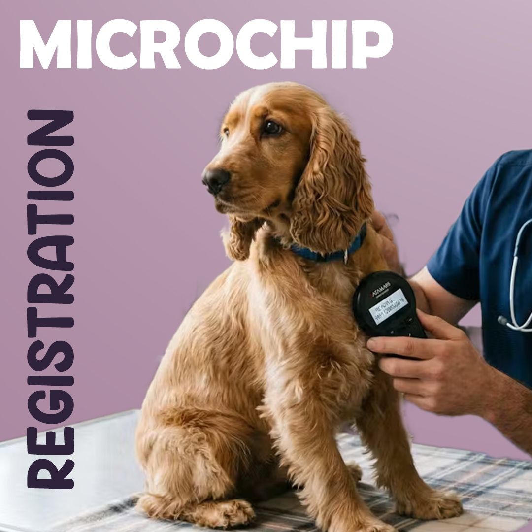 Vet Clinic Dubai - Al Barsha Branch 5