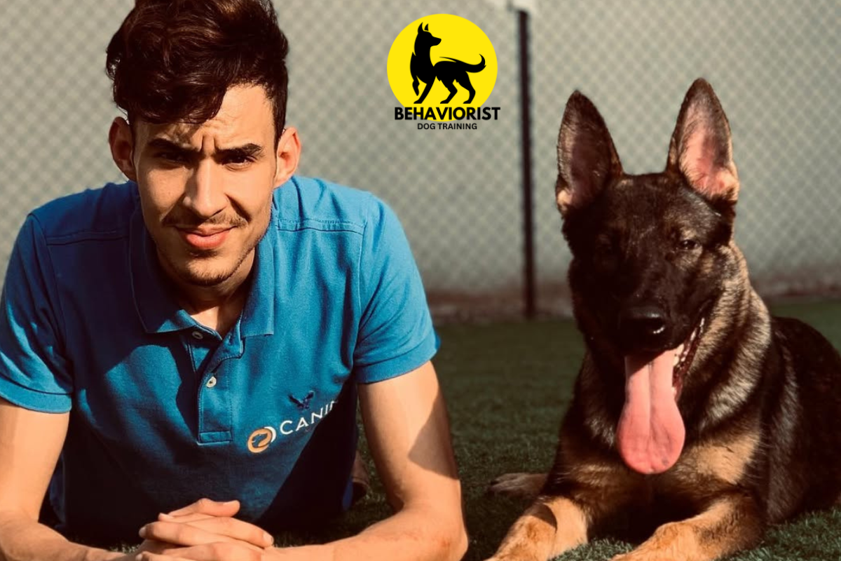 Dog Trainer Behaviourist