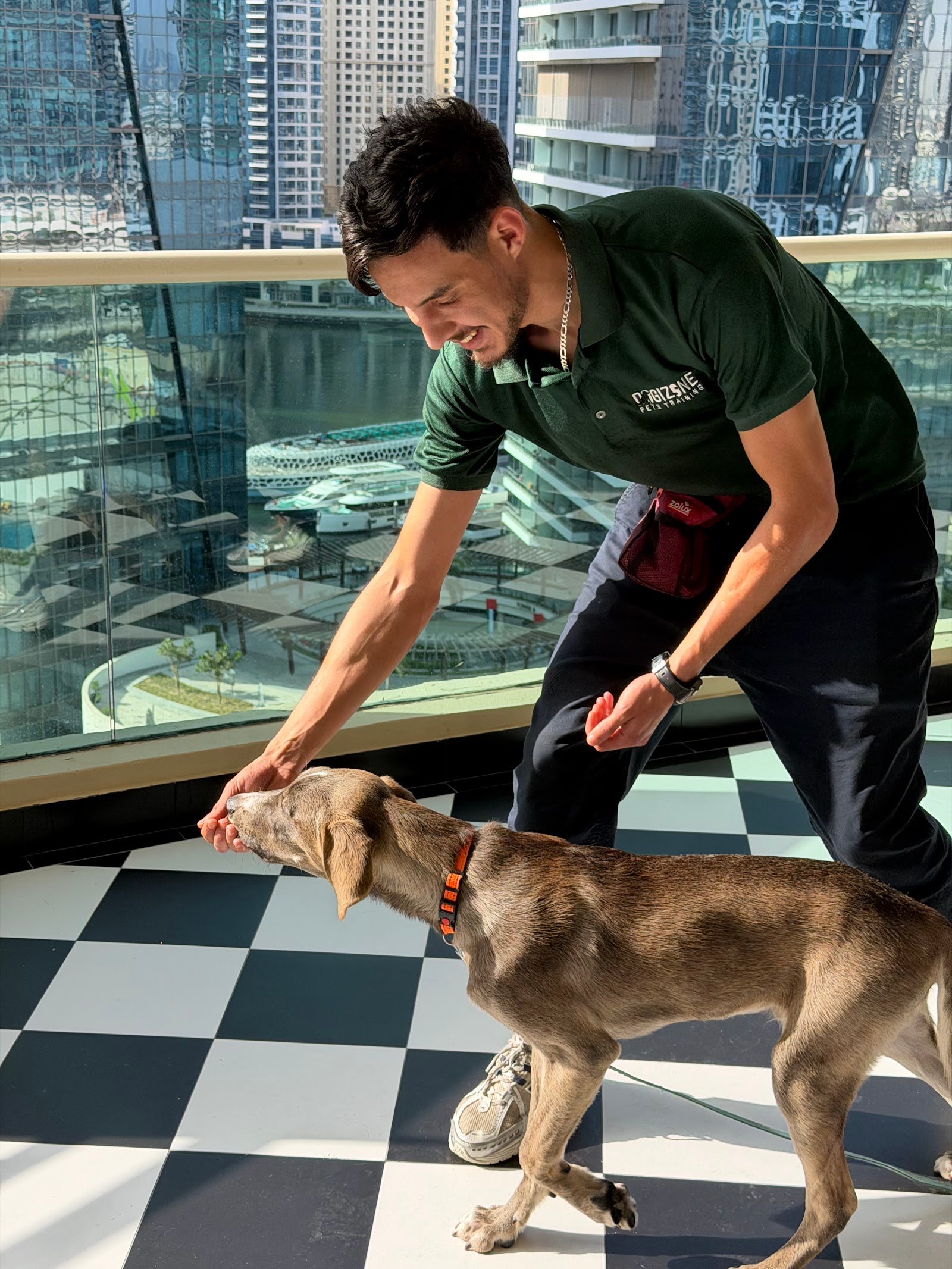 Dog Trainer Behaviourist photo 4