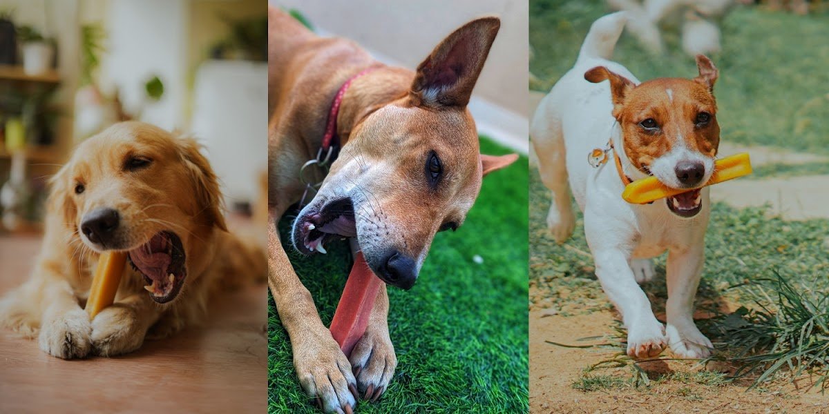 Puprazy | UAE's #1 Organic Dog and Cat Treats