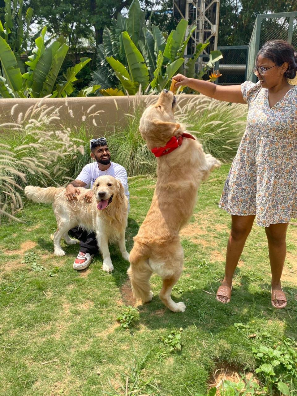 Puprazy | UAE's #1 Organic Dog and Cat Treats photo 2