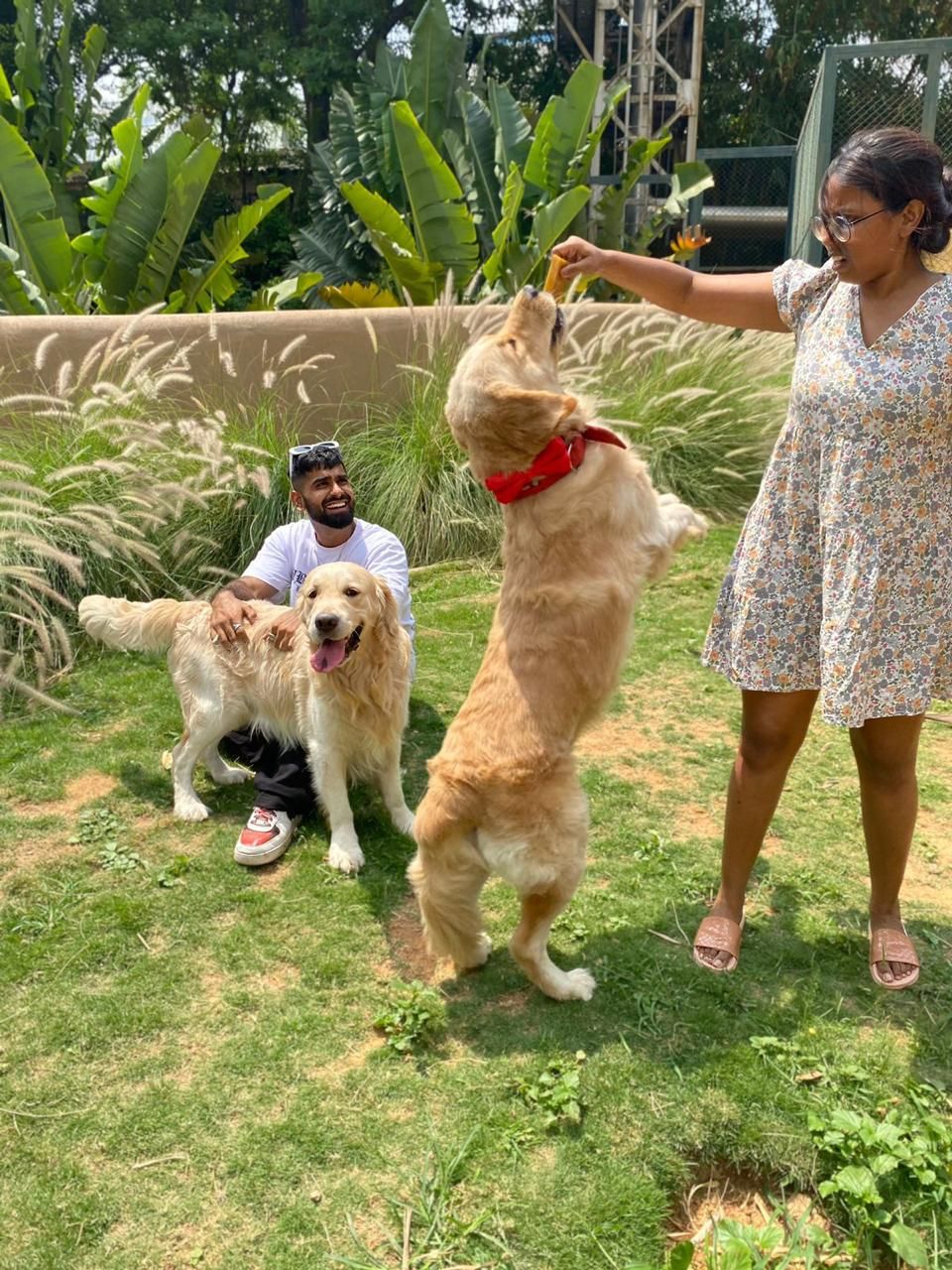 Puprazy | UAE's #1 Organic Dog and Cat Treats 2