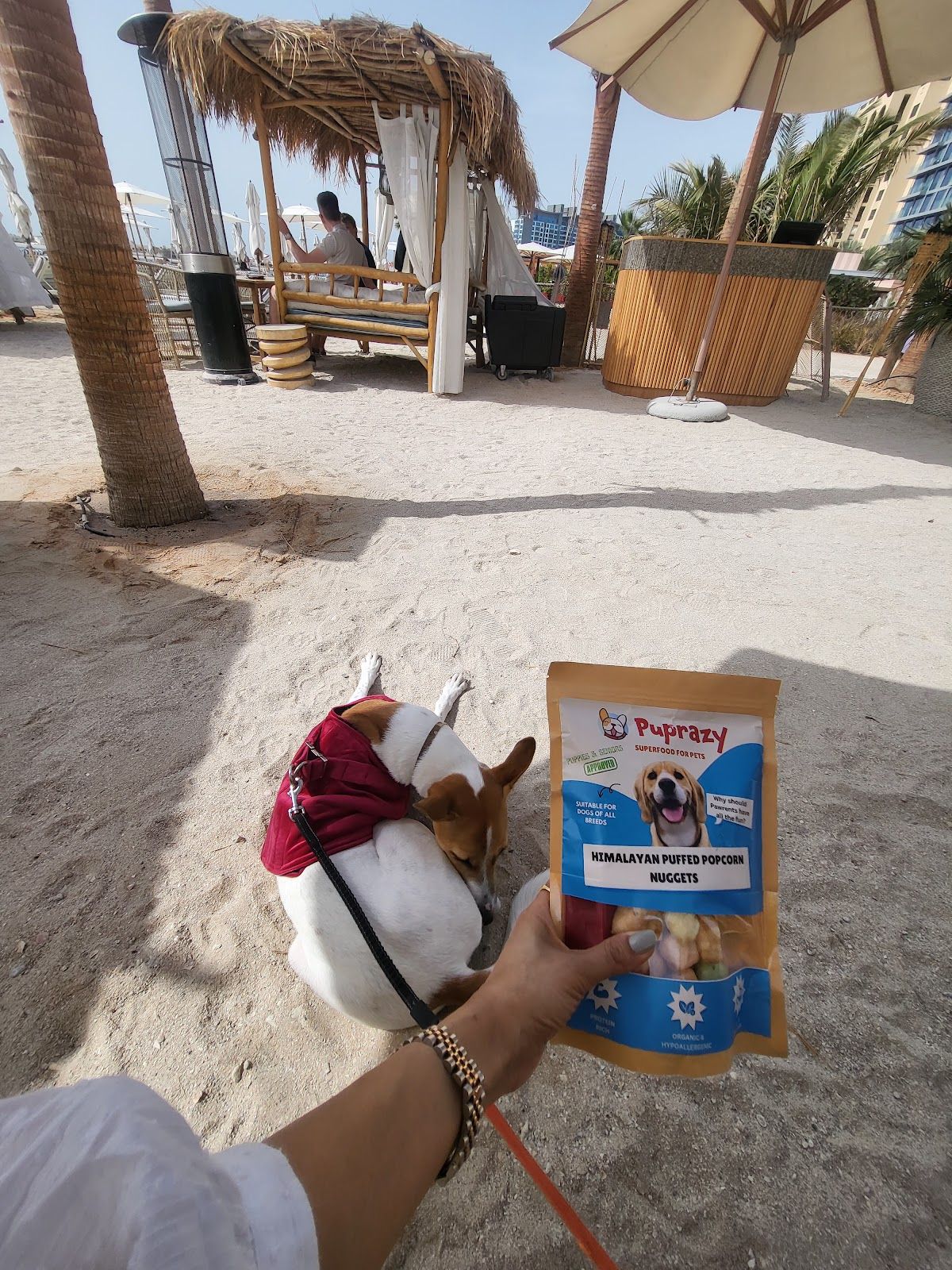 Puprazy | UAE's #1 Organic Dog and Cat Treats 4